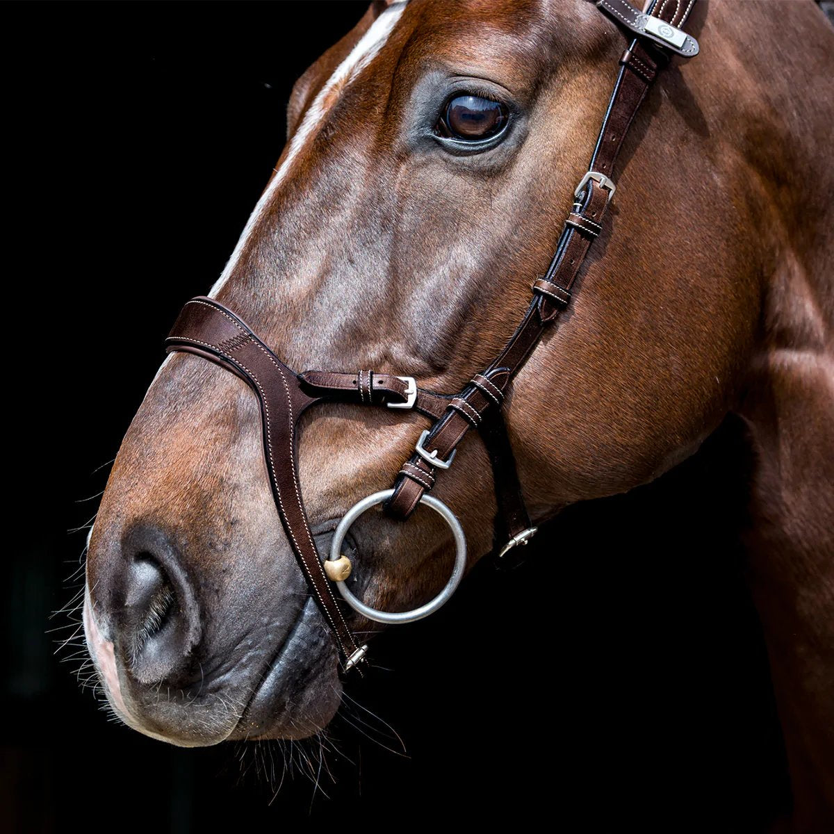 Bridles