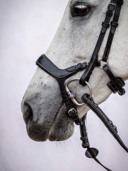 PS OF Sweden Pioneer Bridle Black