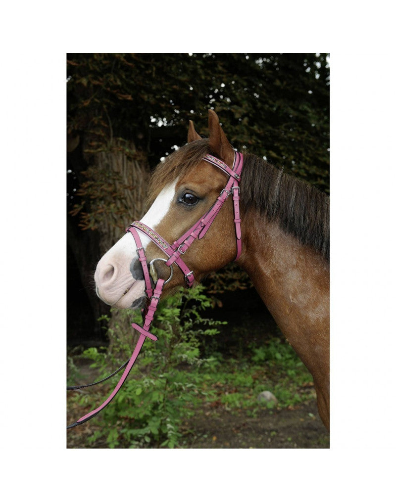 HKM Santa Fe Posh Pony Bridle with matching reins