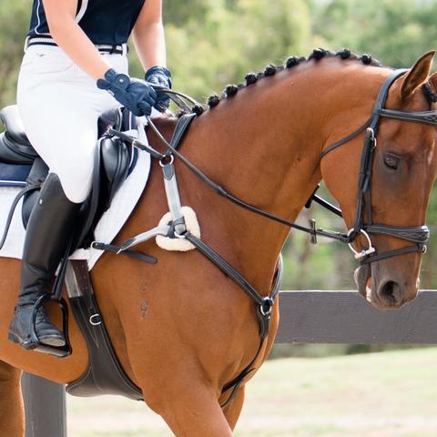 Breastplates/Martingales