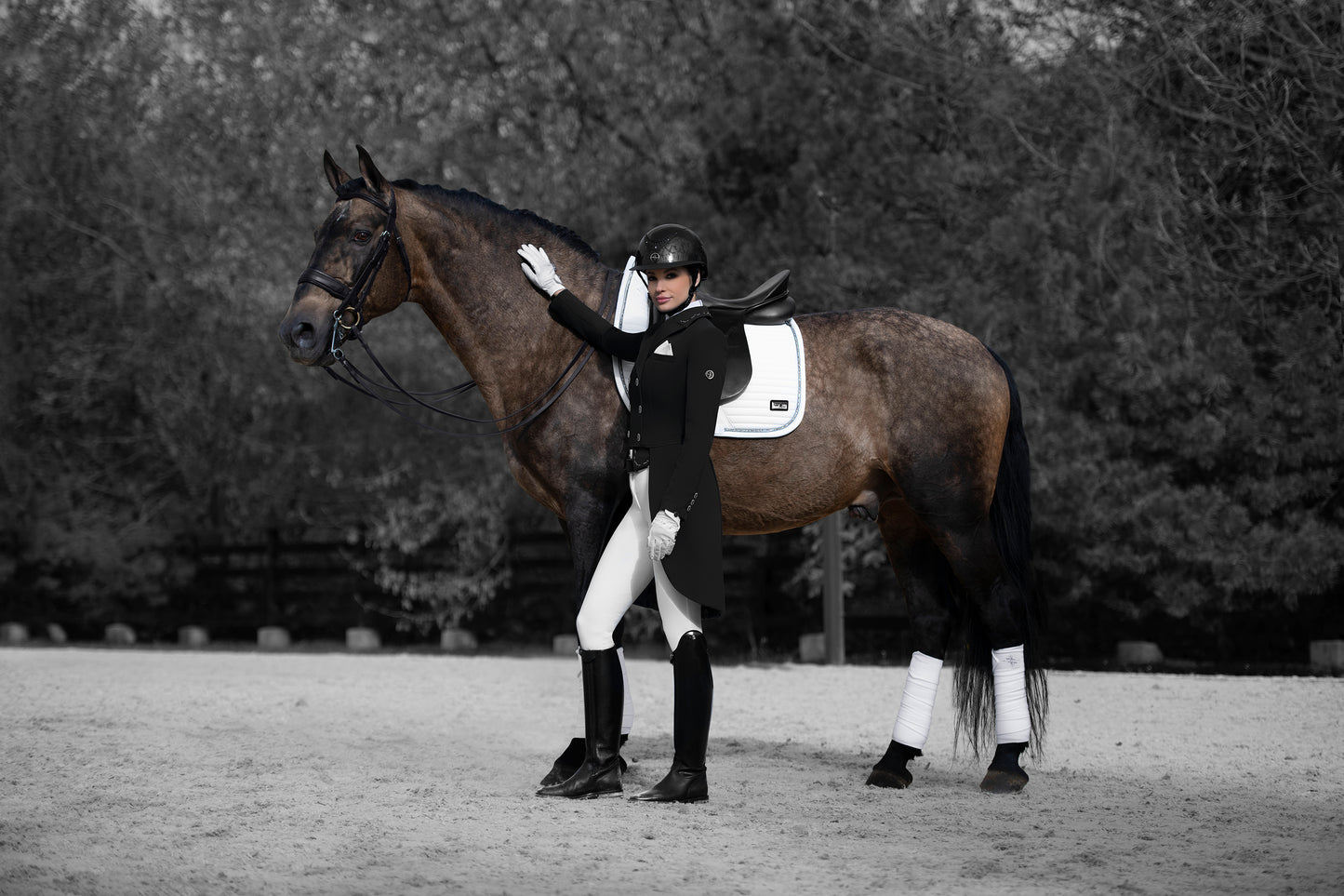 Fairplay Dressage tailcoat FP NADINE-ROYAL BERRY
