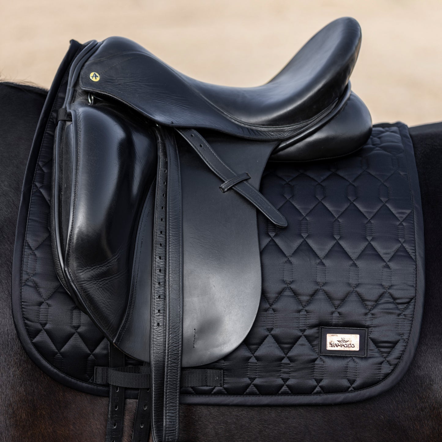 HVPolo  Saddle Pad Welmoed Simple Shine DR