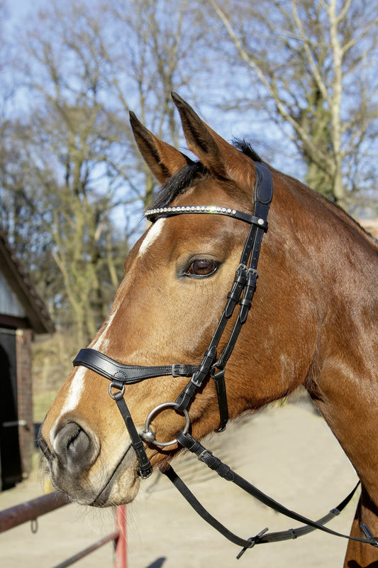 HKM Anatomical Bridle & reins
