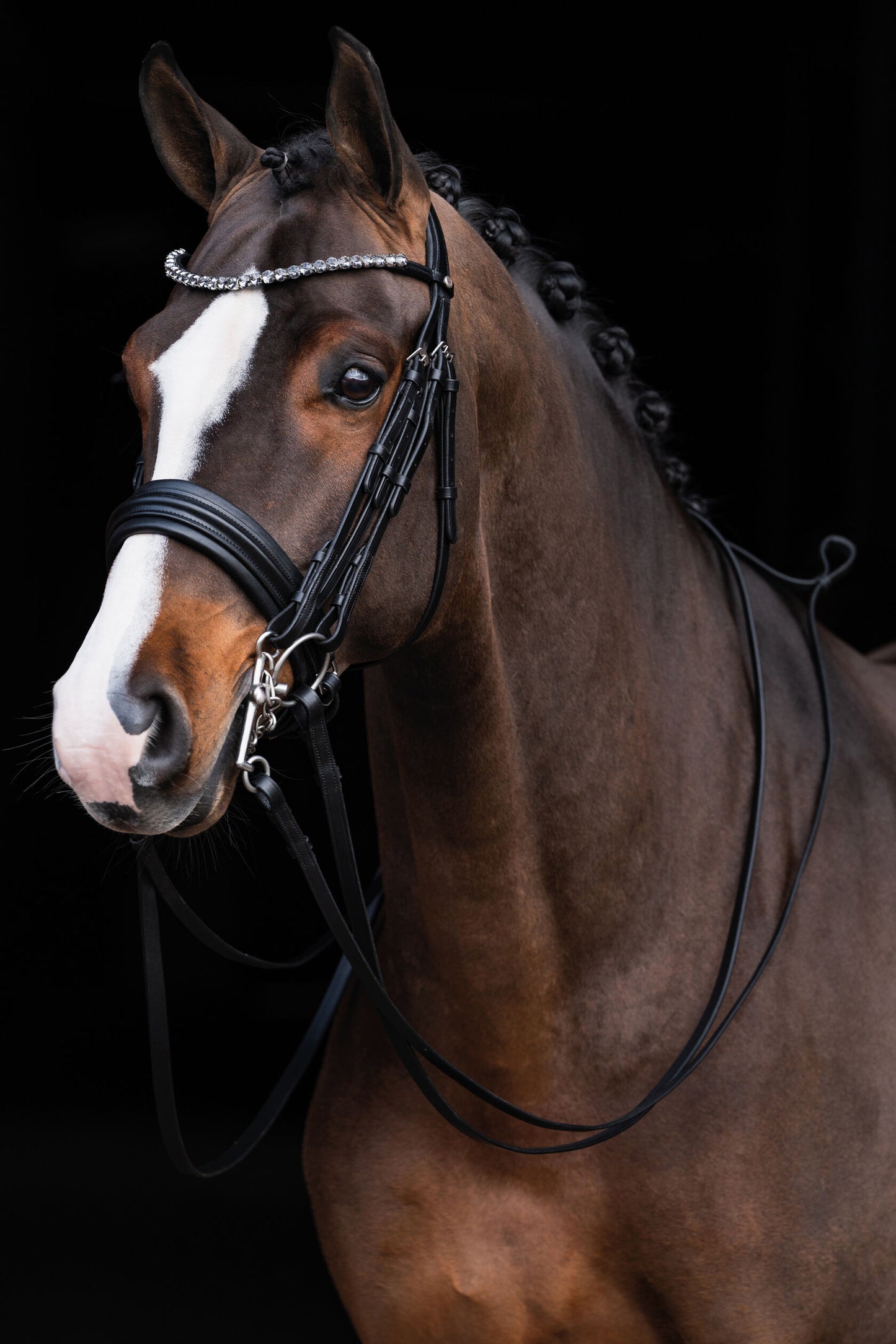 Double bridle -Estelle by HKM