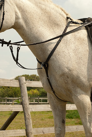 Rhinegold 'Elegance' Stitched Breastplate