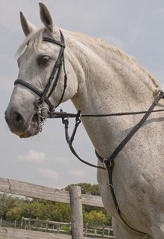 Rhinegold 'Elegance' Stitched Breastplate