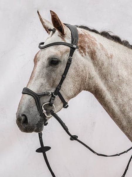 PS of Sweden Nirak Bridle