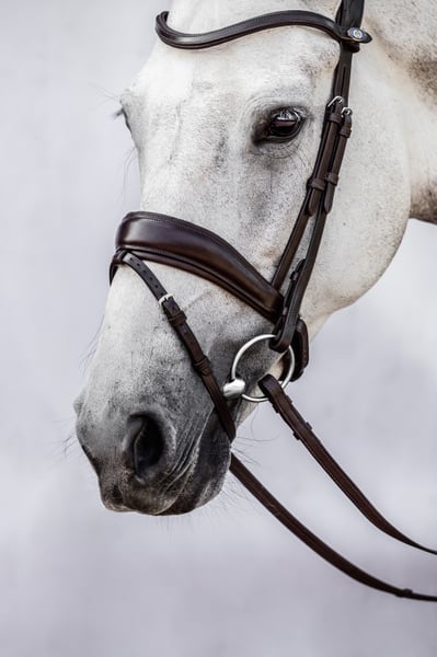 PS of Sweden Flying Change Bridle – Tally Ho Tack and Togs