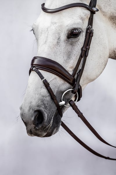 PS of Sweden Flying Change Bridle