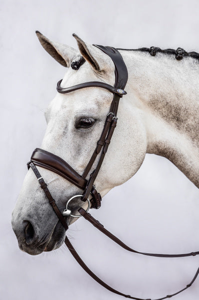 PS of Sweden Flying Change Bridle