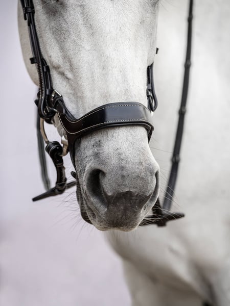 PS OF Sweden Pioneer Bridle Black