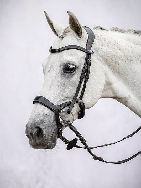 PS OF Sweden Pioneer Bridle Black