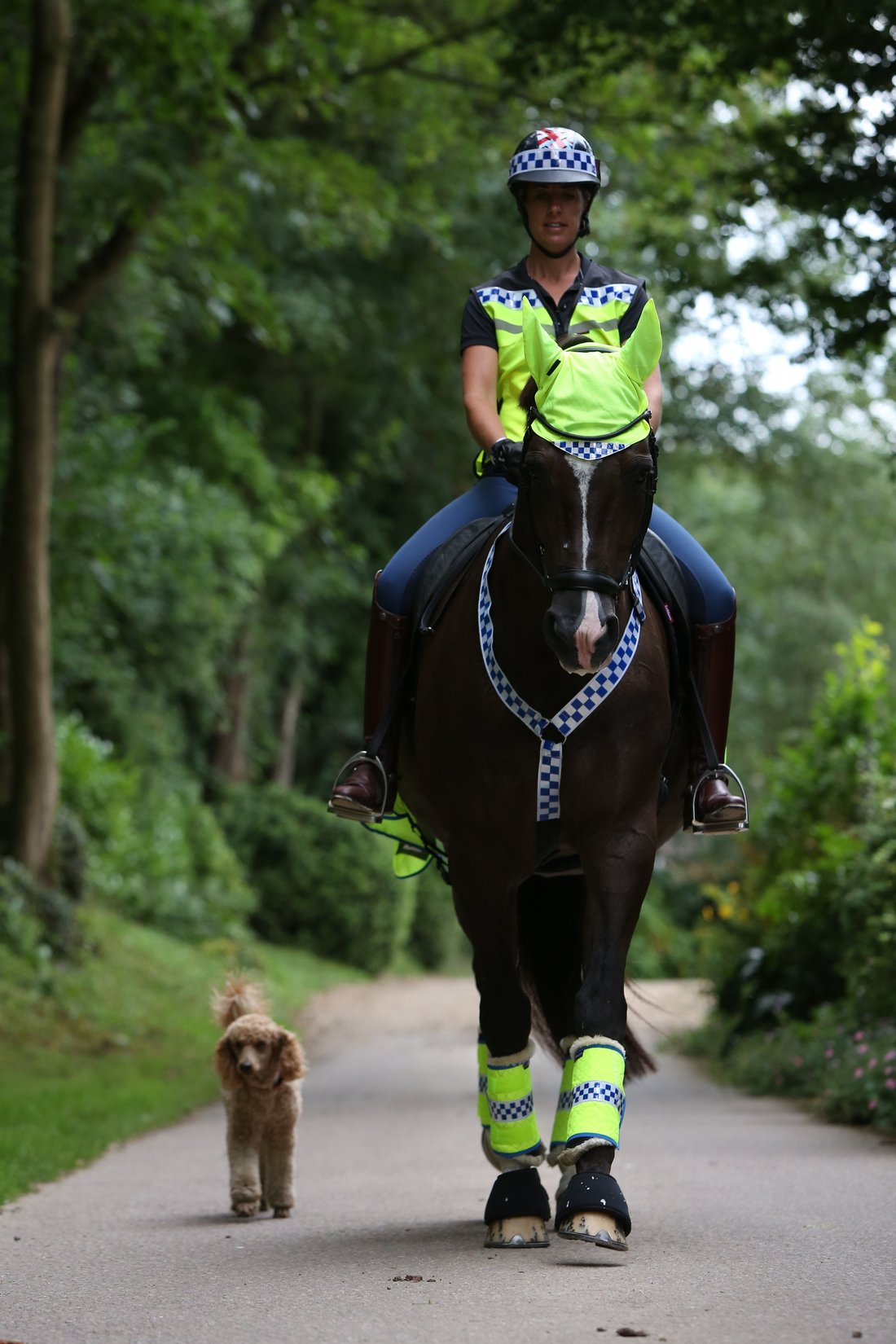 POLITE Horse Waistcoat - Please Slow Down