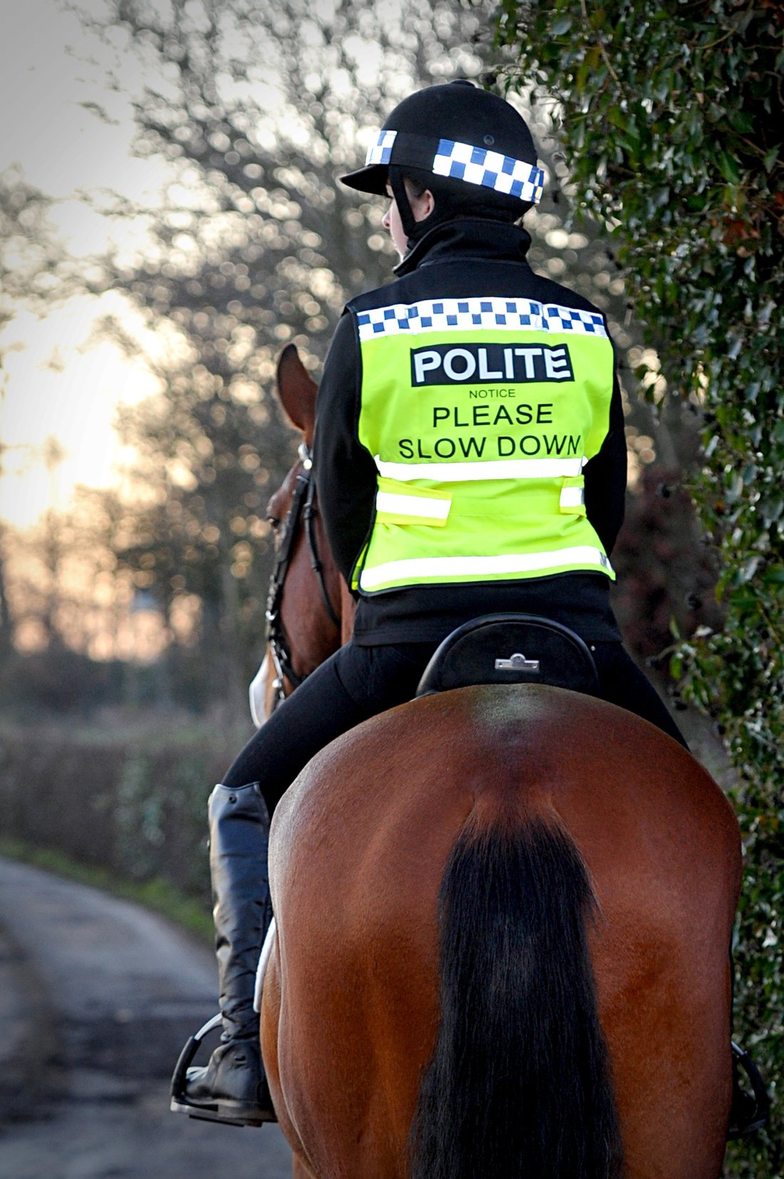 POLITE Horse Waistcoat - Please Slow Down