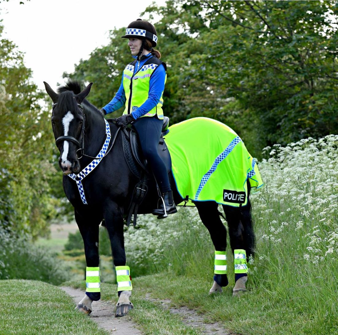 POLITE Hi Viz Ride on Horse Sheet.