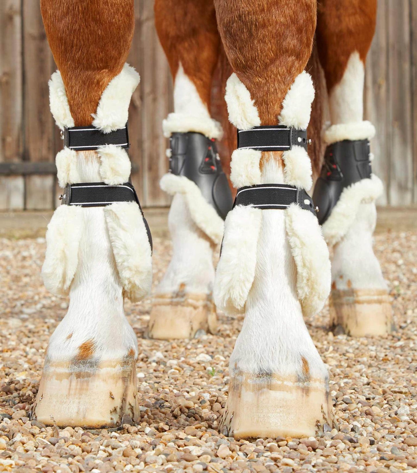 Premier Equine Techno Wool Tendon Boots