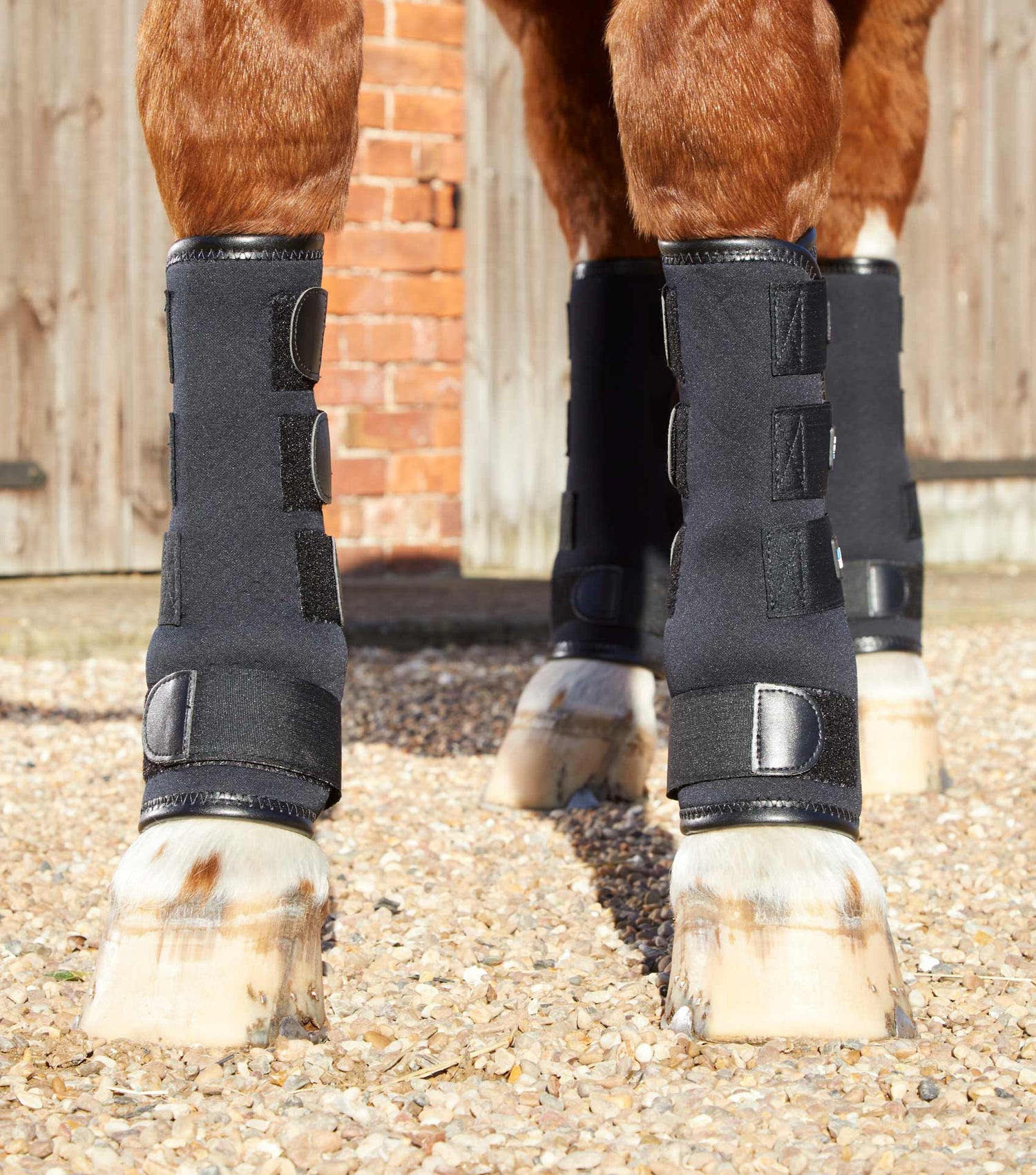 Equine shop turnout boots