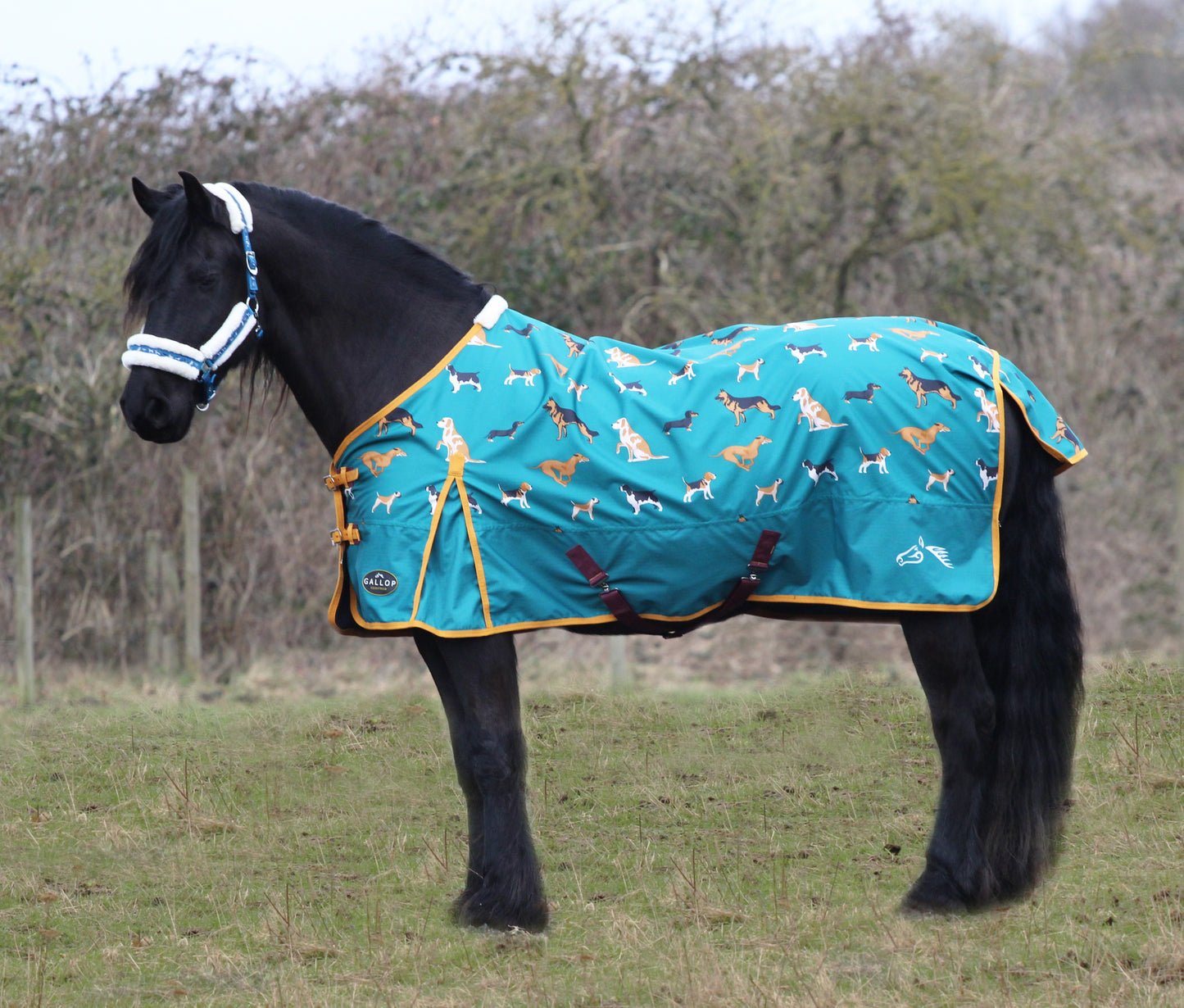 Gallop The Dogs 100g turnout rug