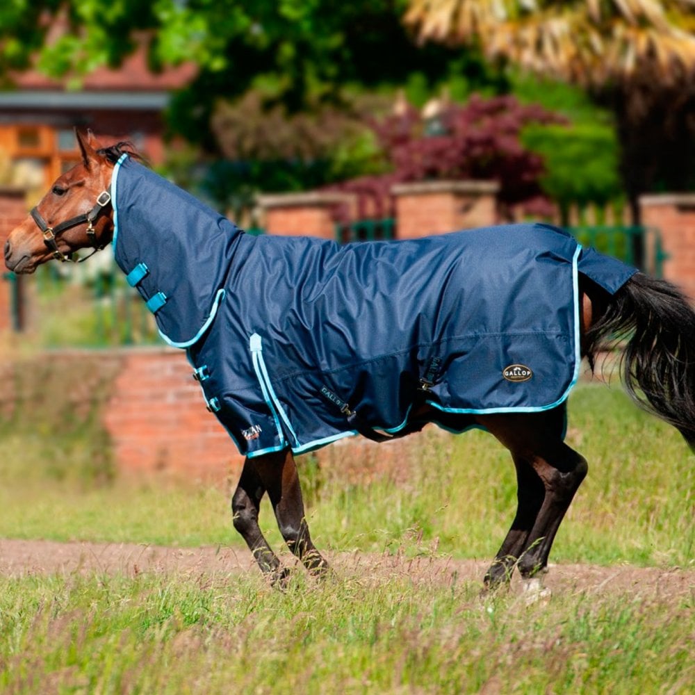 Gallop Trogan Combo  300g turnout rug