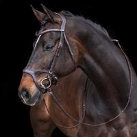 HKM Anatomical Sport Bridle