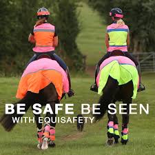 POLITE Horse Waistcoat - Please Slow Down
