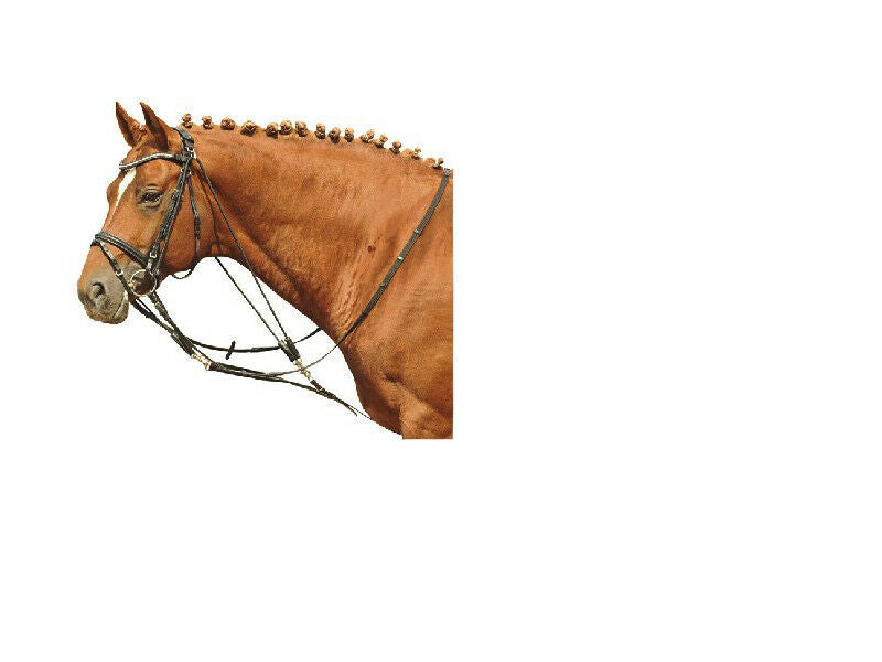 Training/Lunging